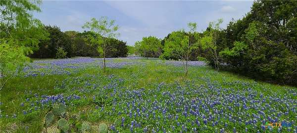 89.1 Acres of Recreational & Residential Land for Sale in Kempner, Texas