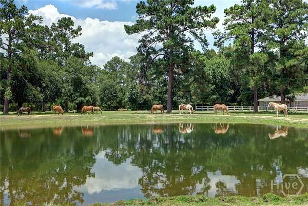 11.2 Acres of Land with Home for Sale in Bloomingdale, Georgia