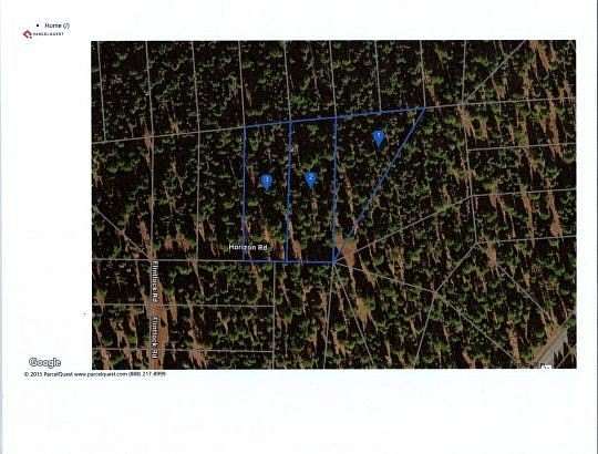 3 Acres of Residential Land for Sale in Alturas, California