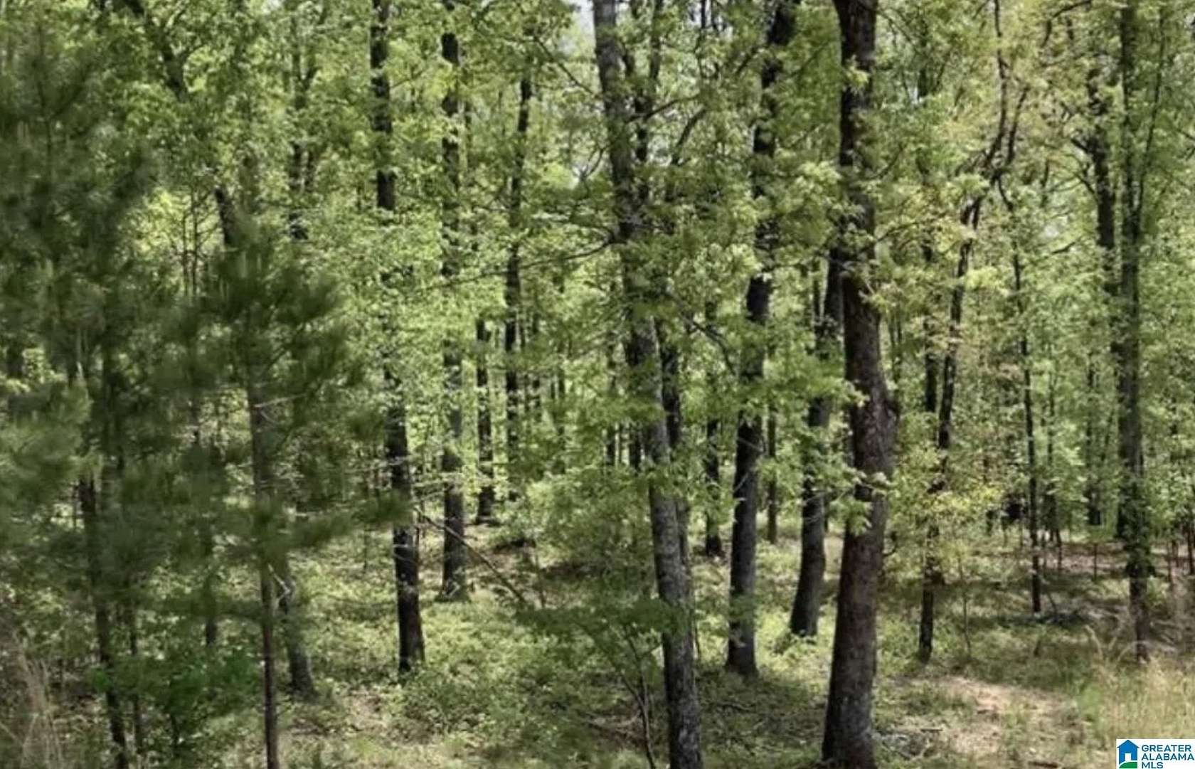 1.65 Acres of Residential Land for Sale in Springville, Alabama