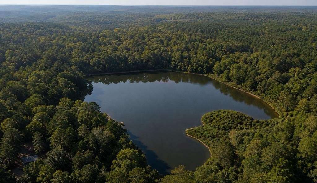 8 Acres of Residential Land for Sale in Box Springs, Georgia