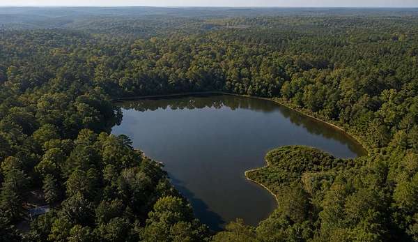 8 Acres of Residential Land for Sale in Box Springs, Georgia