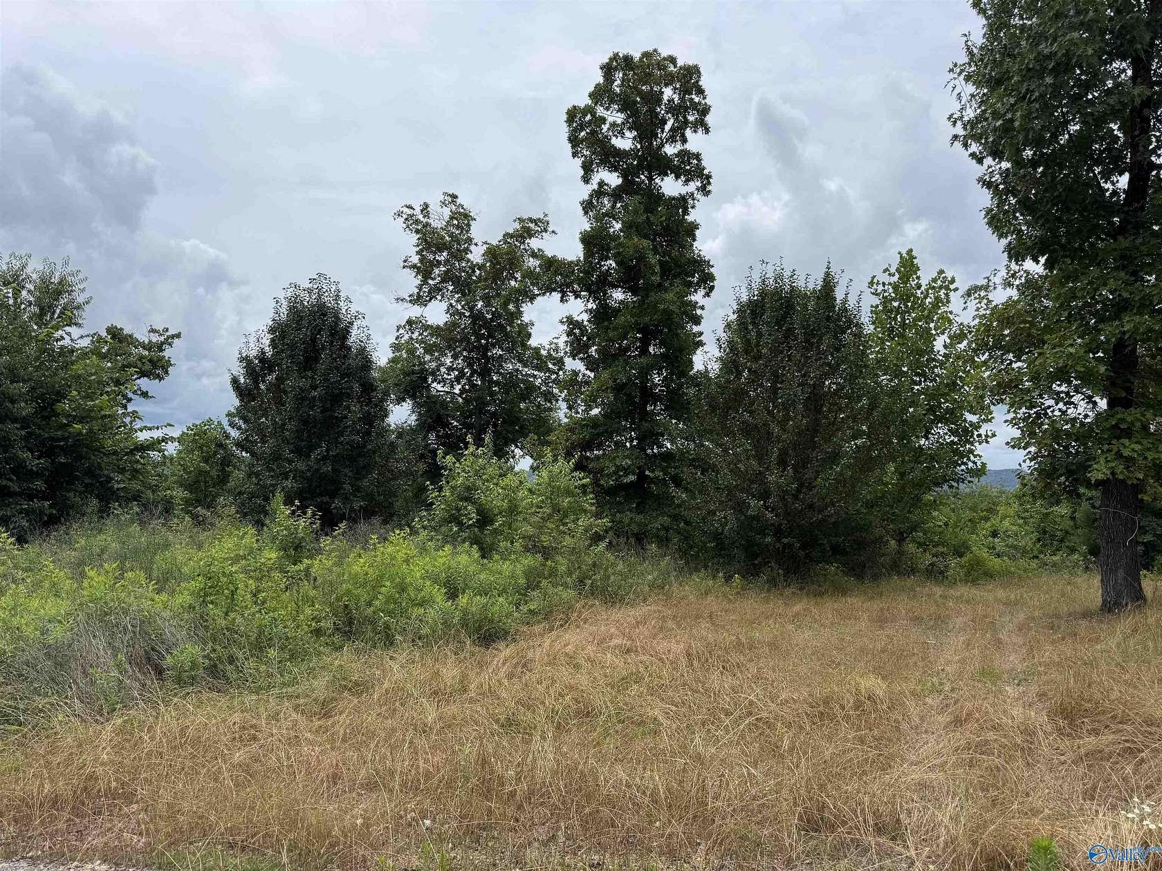 0.53 Acres of Residential Land for Sale in Southside, Alabama