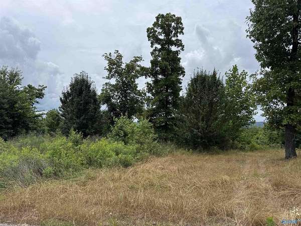 0.53 Acres of Residential Land for Sale in Southside, Alabama