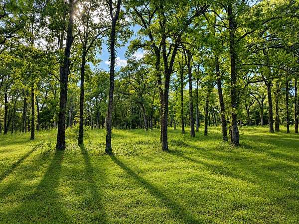 2 Acres of Residential Land for Sale in Point, Texas