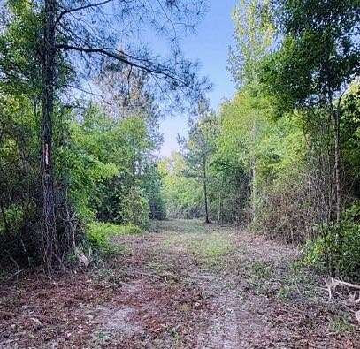35 Acres of Recreational & Residential Land for Sale in Poplarville, Mississippi