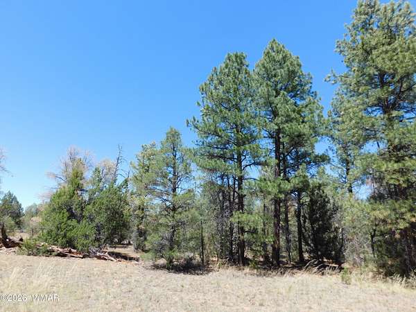 1.19 Acres of Residential Land for Sale in Overgaard, Arizona