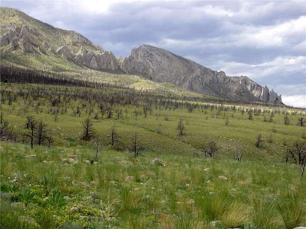 20 Acres of Recreational & Residential Land for Sale in Belfry, Montana