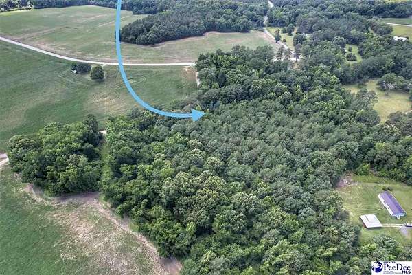 1 Acre of Residential Land for Sale in Nichols, South Carolina