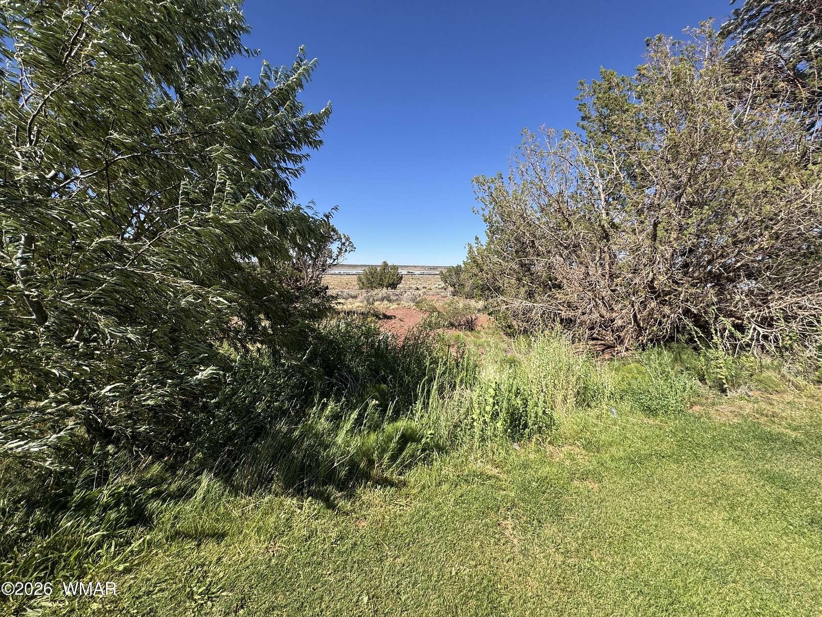 0.46 Acres of Residential Land for Sale in Snowflake, Arizona