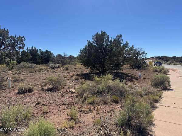 0.46 Acres of Residential Land for Sale in Snowflake, Arizona