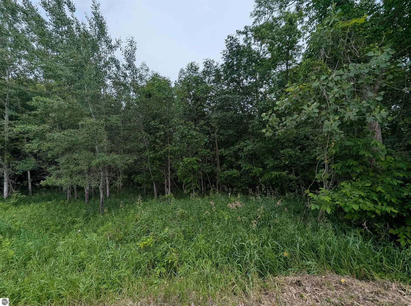 40 Acres of Recreational Land for Sale in Turner, Michigan