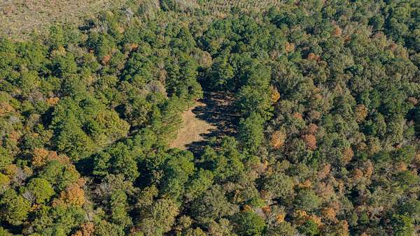 25 Acres of Recreational & Residential Land for Sale in Diana, Texas