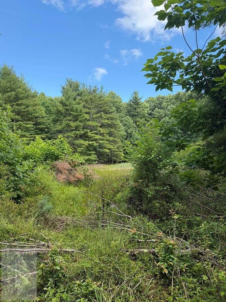 7.33 Acres of Residential Land for Sale in Princeton, West Virginia