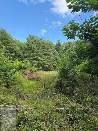 7.33 Acres of Residential Land for Sale in Princeton, West Virginia