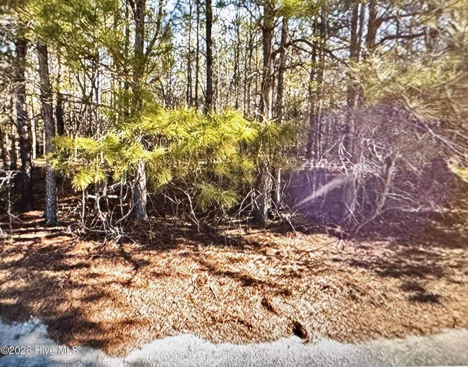 0.5 Acres of Residential Land for Sale in Pinetops, North Carolina
