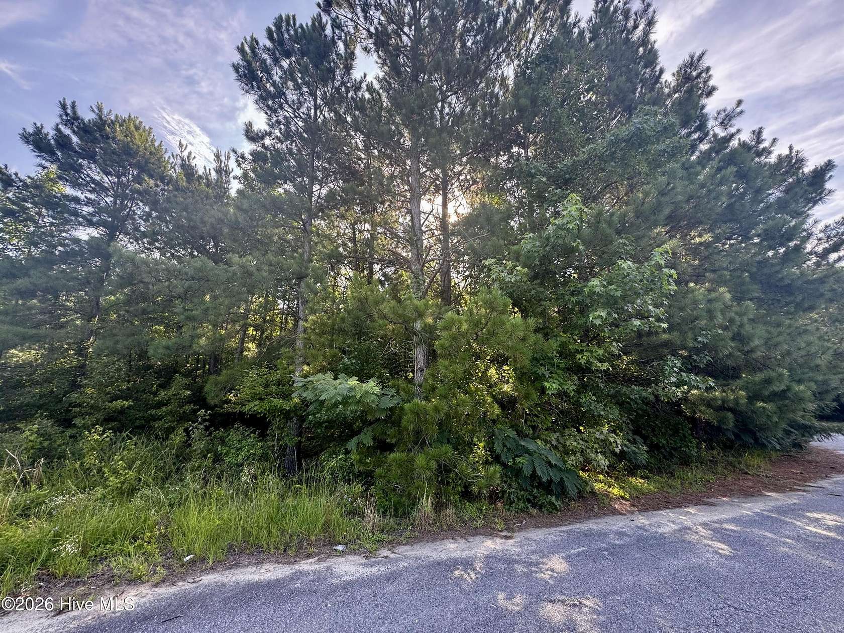 0.5 Acres of Residential Land for Sale in Pinetops, North Carolina