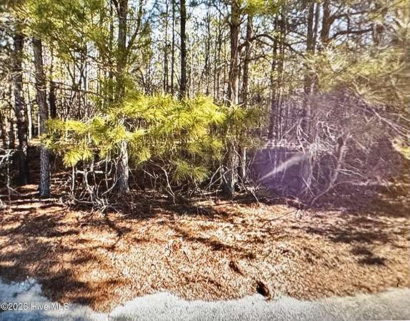 0.5 Acres of Residential Land for Sale in Pinetops, North Carolina