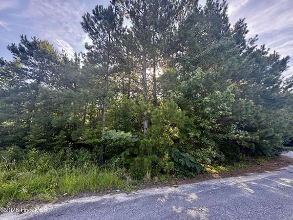 0.5 Acres of Residential Land for Sale in Pinetops, North Carolina