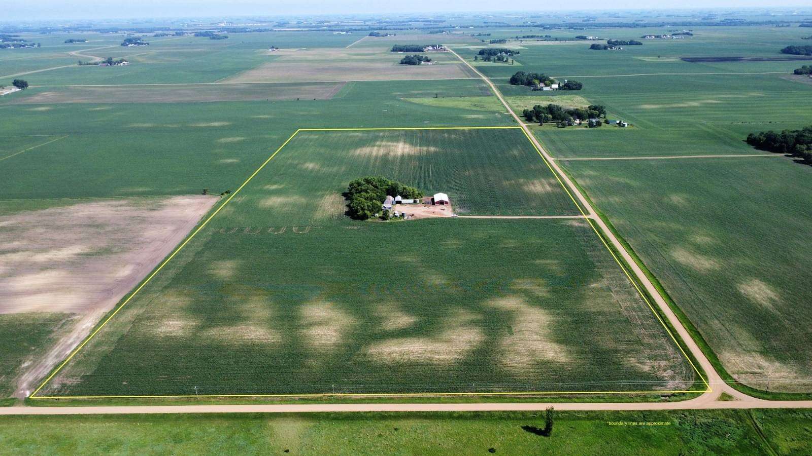 80 Acres of Agricultural & Residential Land for Sale in Springfield, Minnesota