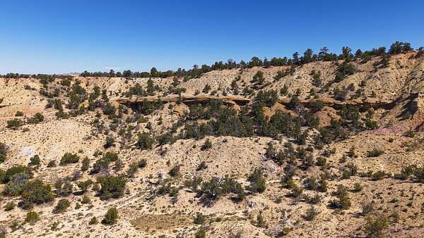 406 Acres of Recreational Land for Sale in La Jara, New Mexico