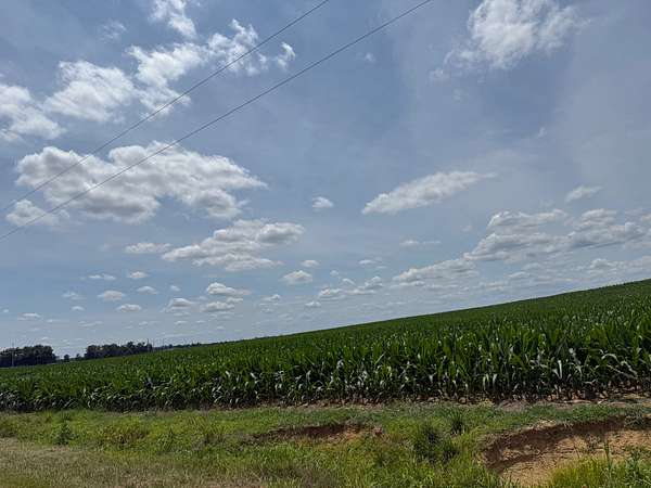 170 Acres of Land for Sale in Carmi, Illinois
