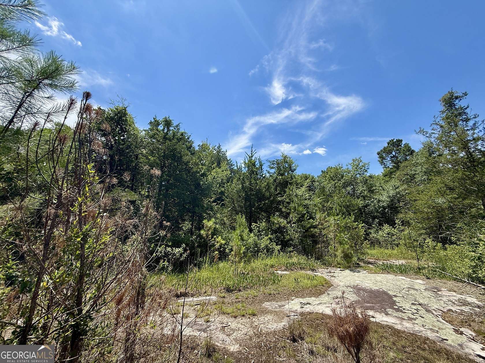 14.2 Acres of Land for Sale in Conyers, Georgia