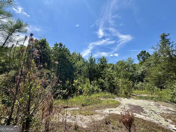 14.2 Acres of Land for Sale in Conyers, Georgia