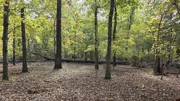 4.5 Acres of Land for Sale in Lakeview, Arkansas