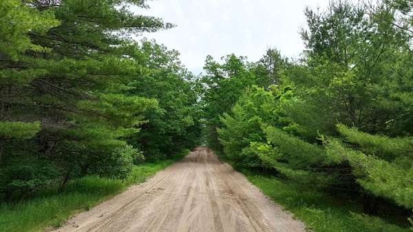 40 Acres of Recreational & Residential Land for Sale in Roscommon, Michigan