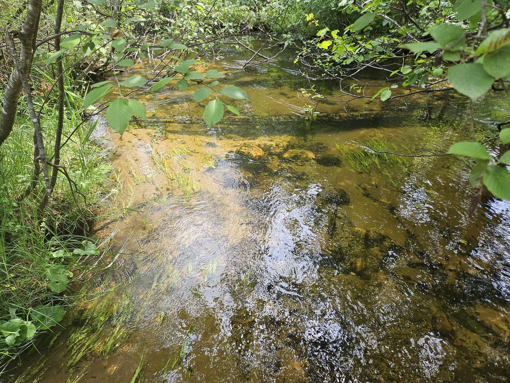 231 Acres of Recreational Land for Sale in McMillan, Michigan