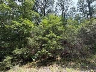 0.37 Acres of Residential Land for Sale in Brookeland, Texas