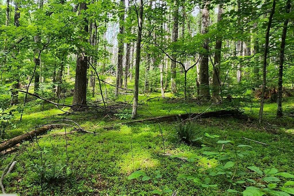 0.5 Acres of Residential Land for Sale in Fancy Gap, Virginia