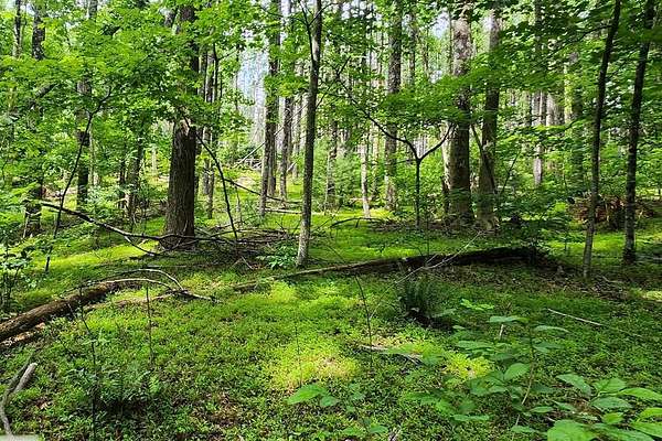 0.5 Acres of Residential Land for Sale in Fancy Gap, Virginia