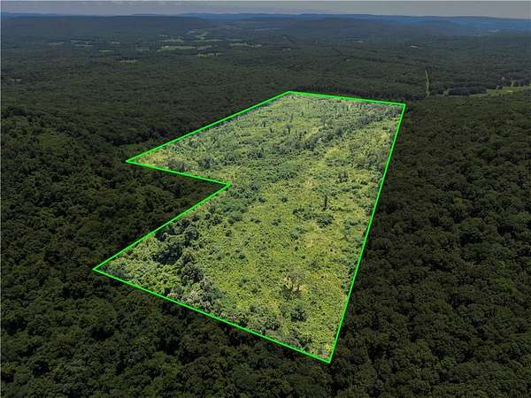 70 Acres of Recreational & Residential Land for Sale in Bunch, Oklahoma