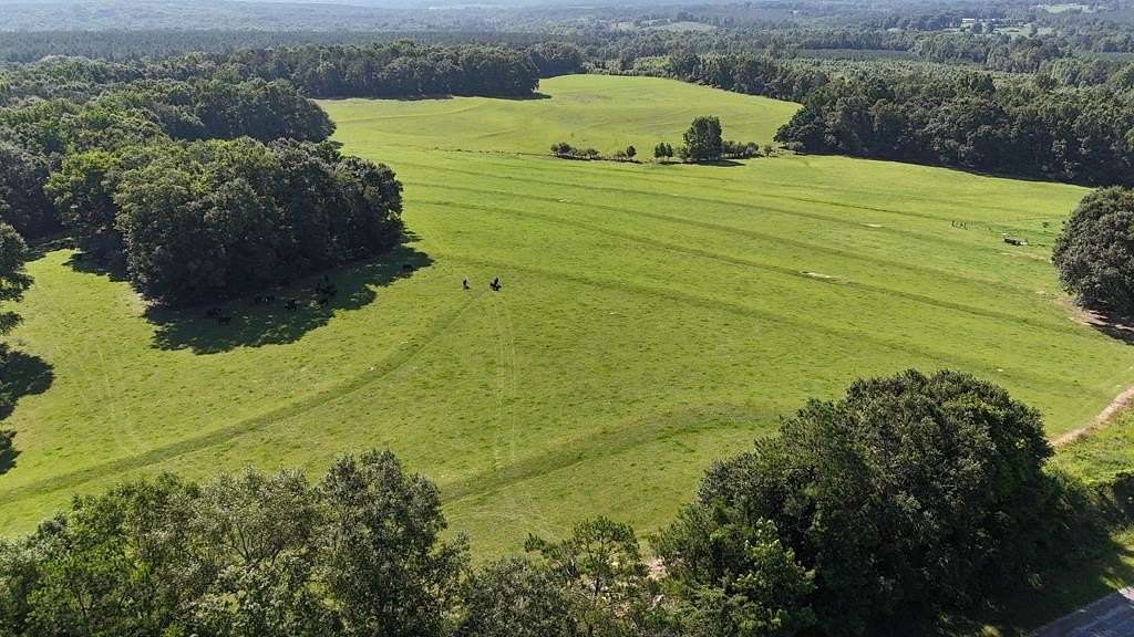 115 Acres of Recreational Land with Home for Sale in Clio, Alabama