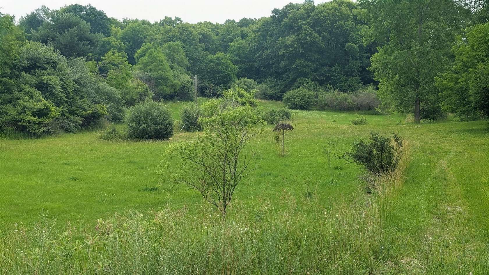 1.5 Acres of Residential Land for Sale in Greenville, Michigan