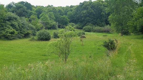 1.5 Acres of Residential Land for Sale in Greenville, Michigan