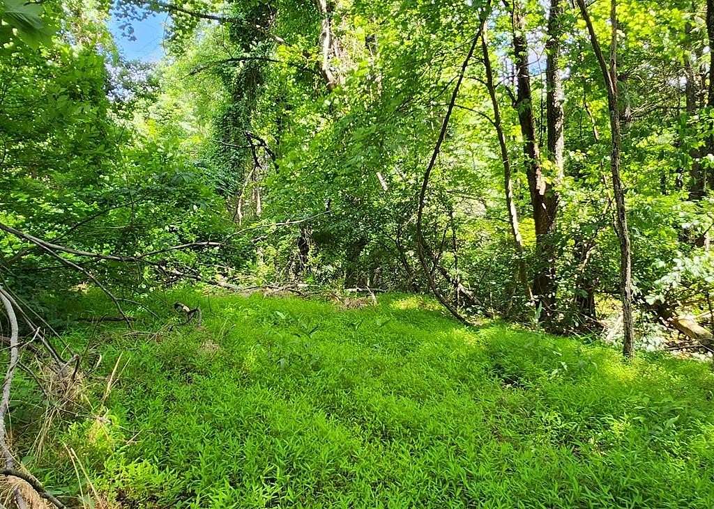 0.3 Acres of Residential Land for Sale in Fancy Gap, Virginia