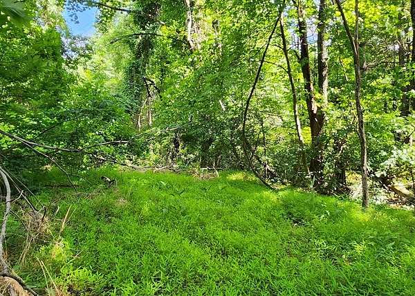 0.3 Acres of Residential Land for Sale in Fancy Gap, Virginia