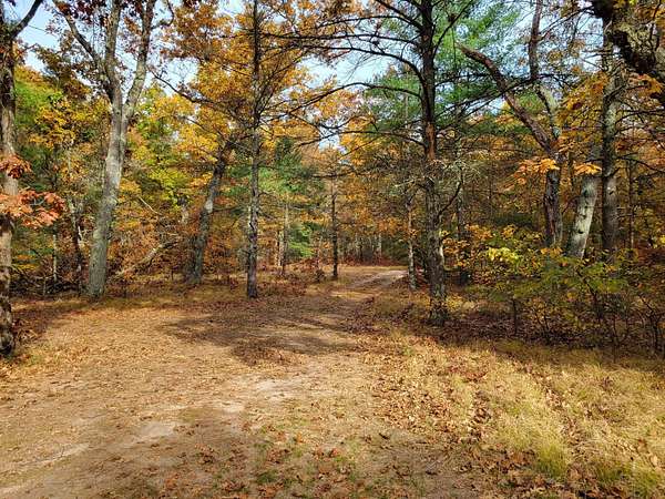 4.84 Acres of Residential Land for Sale in Hesperia, Michigan