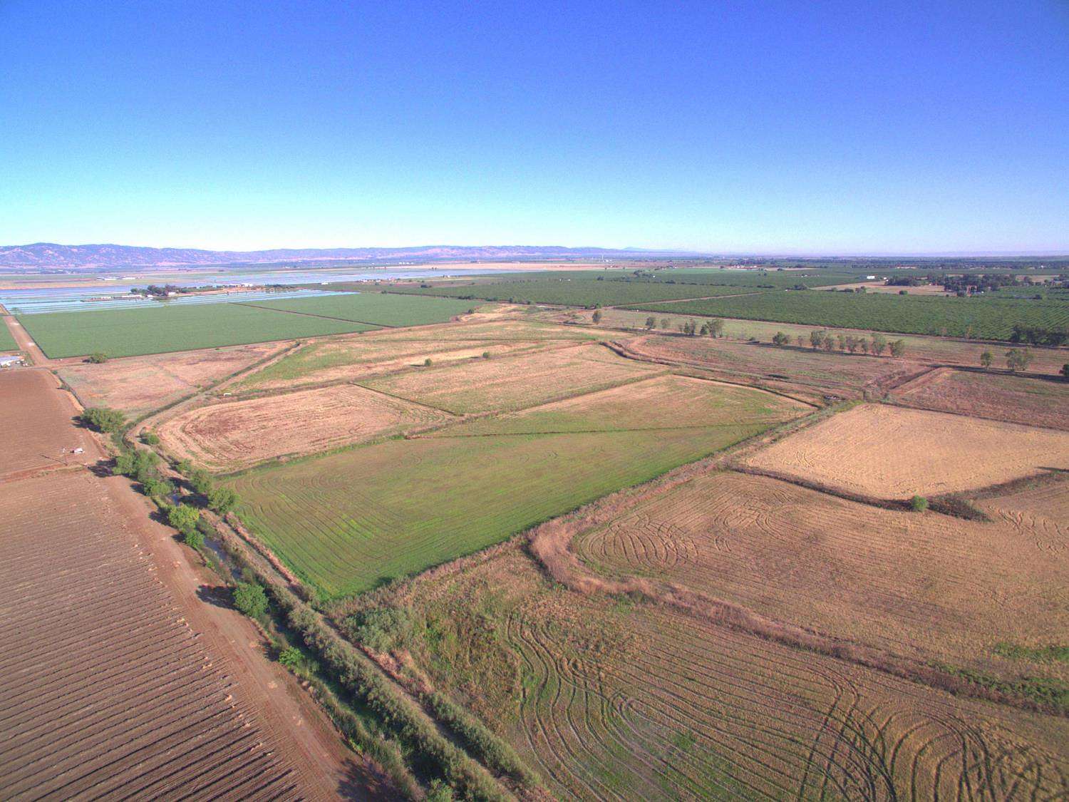 320 Acres of Agricultural Land with Home for Sale in Woodland, California