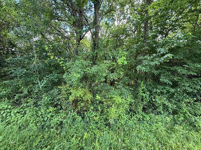 20 Acres of Recreational & Residential Land for Sale in Cameron, Missouri