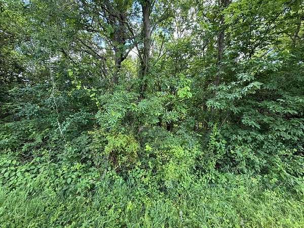20 Acres of Recreational & Residential Land for Sale in Cameron, Missouri
