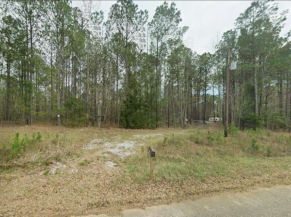 17 Acres of Recreational & Residential Land for Sale in Wadley, Alabama