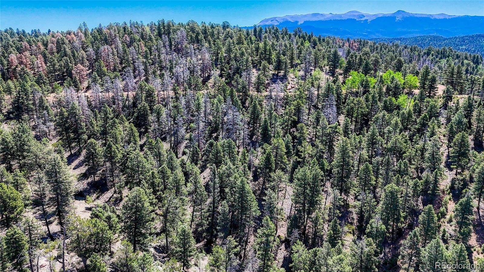0.78 Acres of Residential Land for Sale in Florissant, Colorado