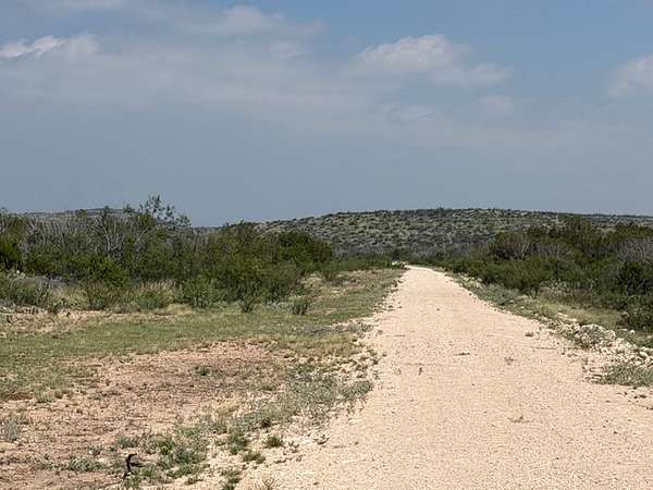 82.7 Acres of Land for Sale in Comstock, Texas