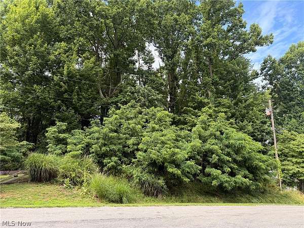 0.32 Acres of Residential Land for Sale in Malvern, Ohio