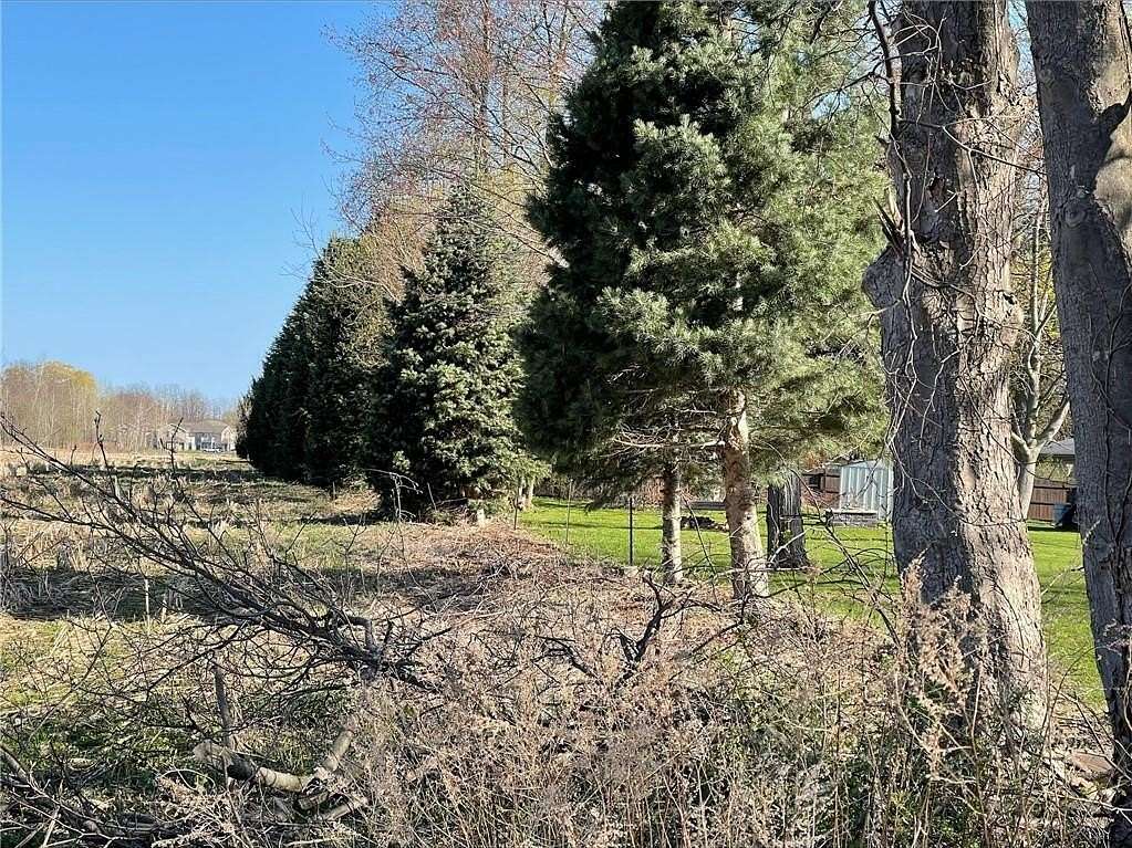 22.6 Acres of Land for Sale in Palmyra, New York