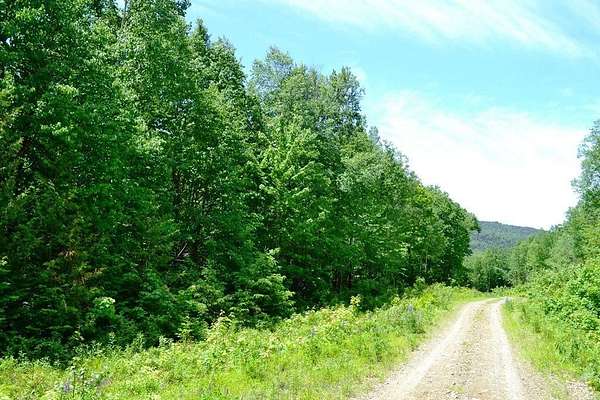 40.7 Acres of Recreational Land for Sale in Sandy River Plantation, Maine
